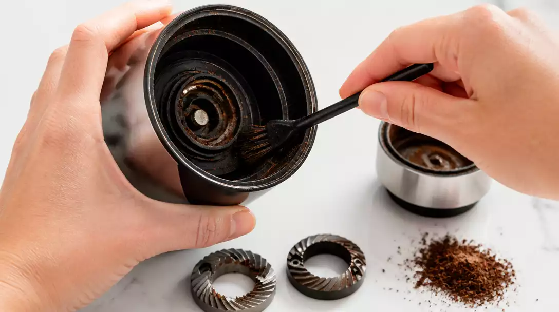 Close-up of a Mr. Coffee grinder being cleaned with a small brush, showing removed burrs and coffee grounds