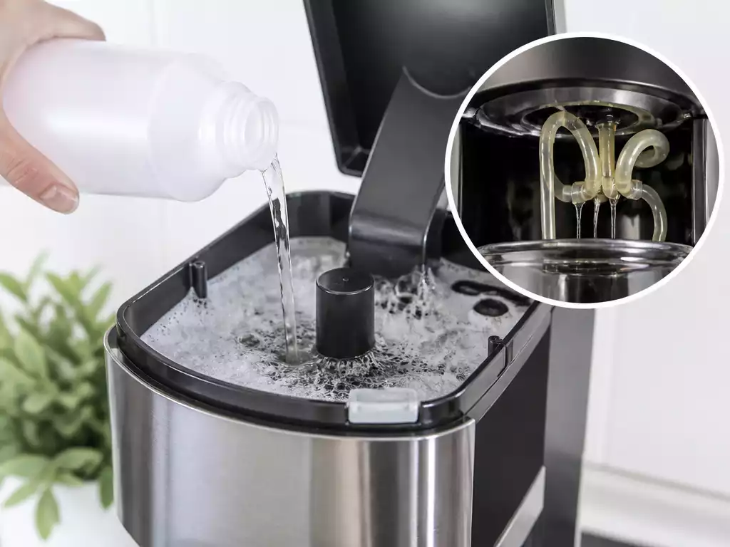 Close-up of a coffee maker being descaled with a specialized solution, showing cleaning process