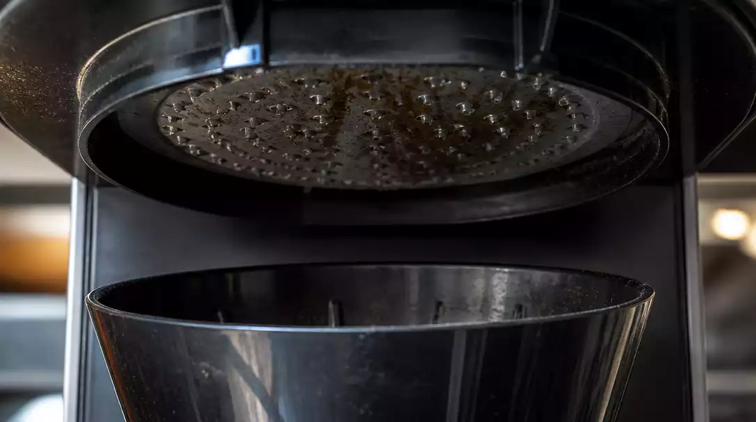 Close-up of a Bunn coffee maker's sprayhead and brew funnel, showing potential mineral buildup