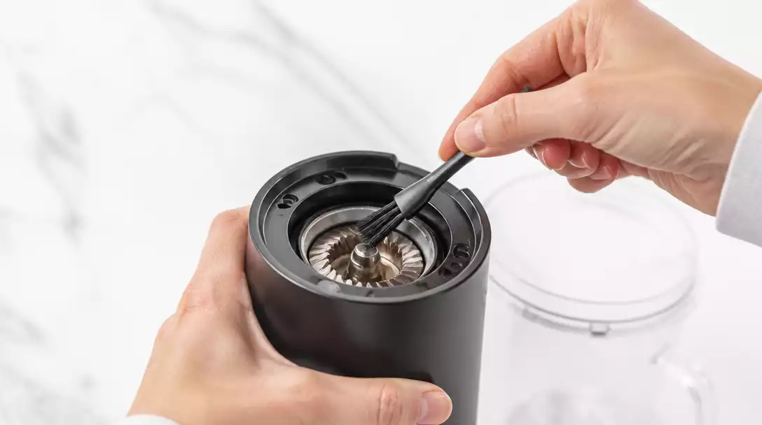 Person using a soft brush to clean the burrs of a Capresso coffee grinder, showing meticulous care and attention